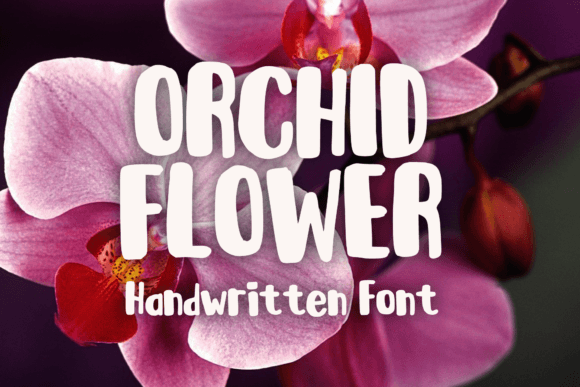 Orchid Flower: A Playful Display Font for Creative Projects